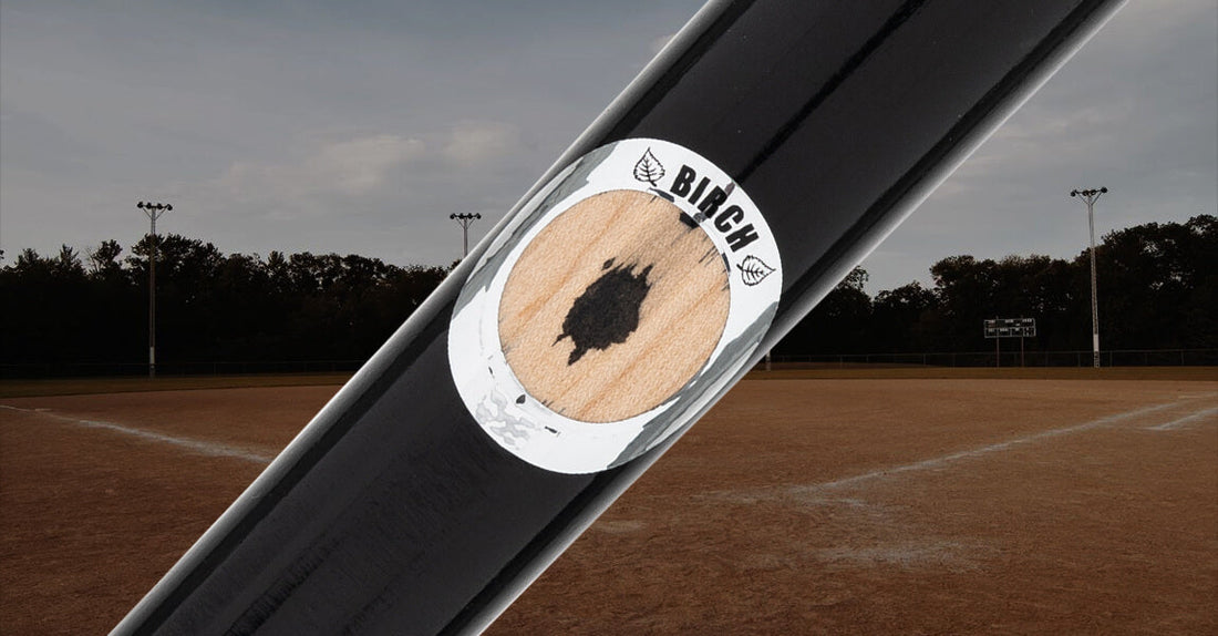 MLB Ink Dot Certification Guide | Pro-Grade Wood Bats | Dugout Pros
